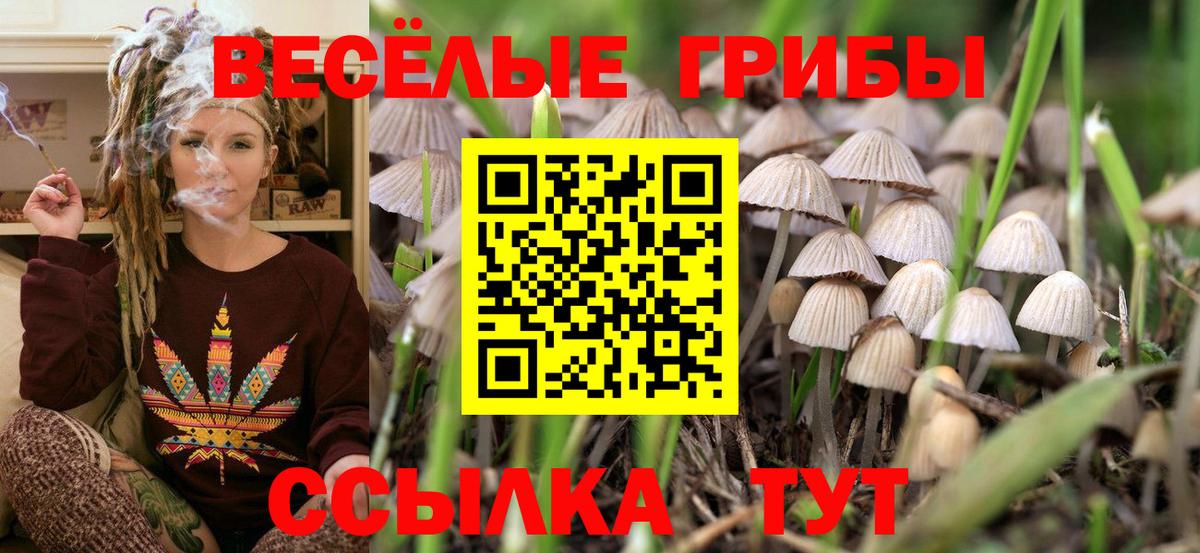 Псилоцибиновые грибы мицелий Туймазы